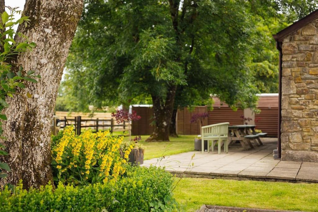 האברפורדווסט Dairy Cottage At Scolton Cottages - Indoor Pool מראה חיצוני תמונה